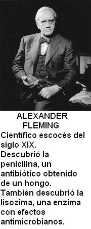 Alexander Fleming.jpg